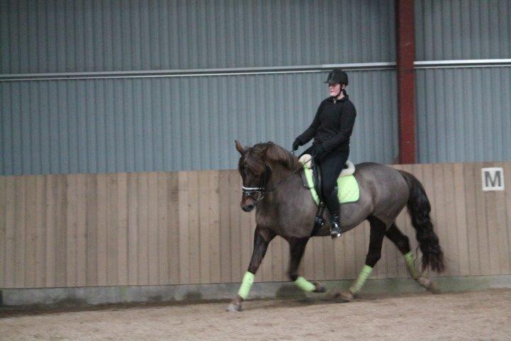 Anden særlig race Cekita R.I.P billede 26