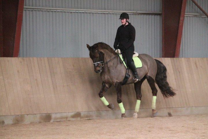 Anden særlig race Cekita R.I.P billede 23