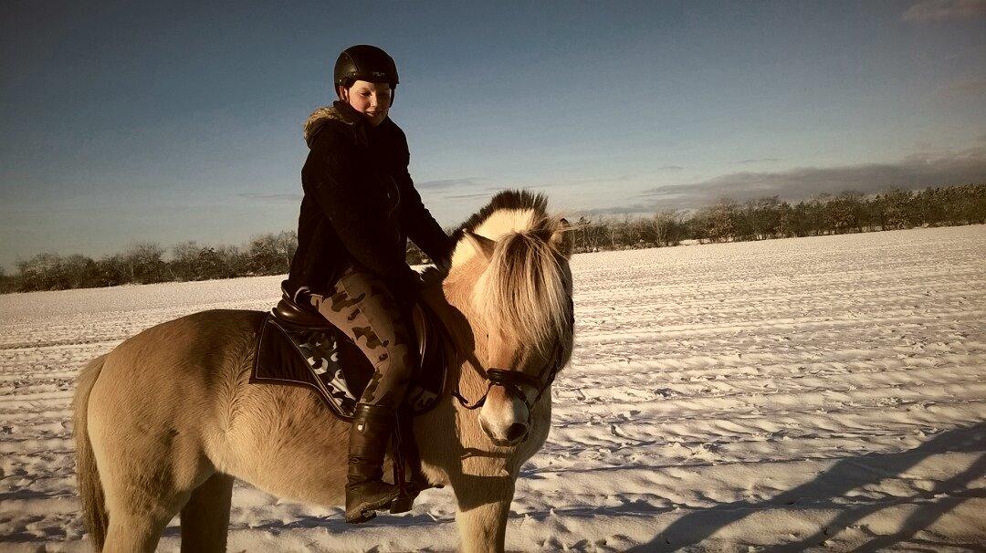 Fjordhest Fenja Drejer' Fiske (; billede 17