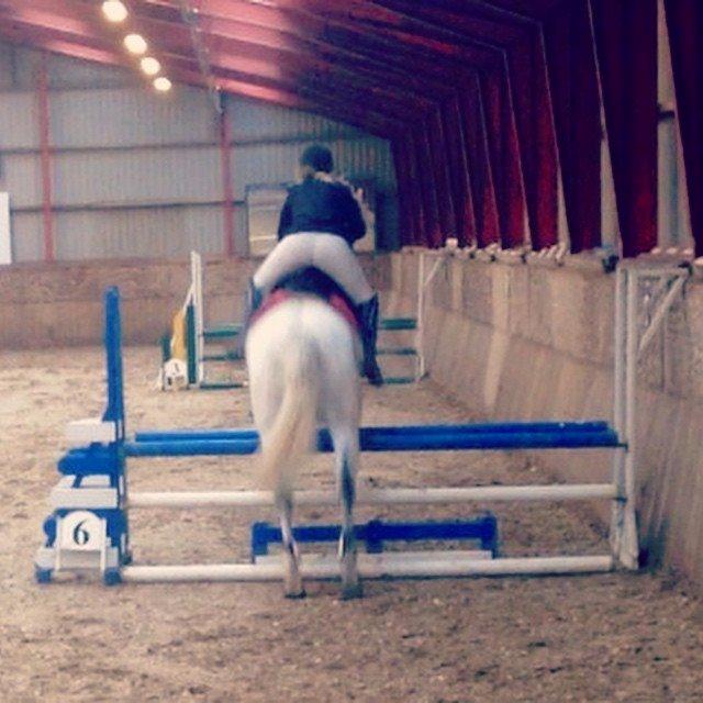 Anden særlig race Troldmoses Umberto - Når enden er god, er alting godt :D billede 22