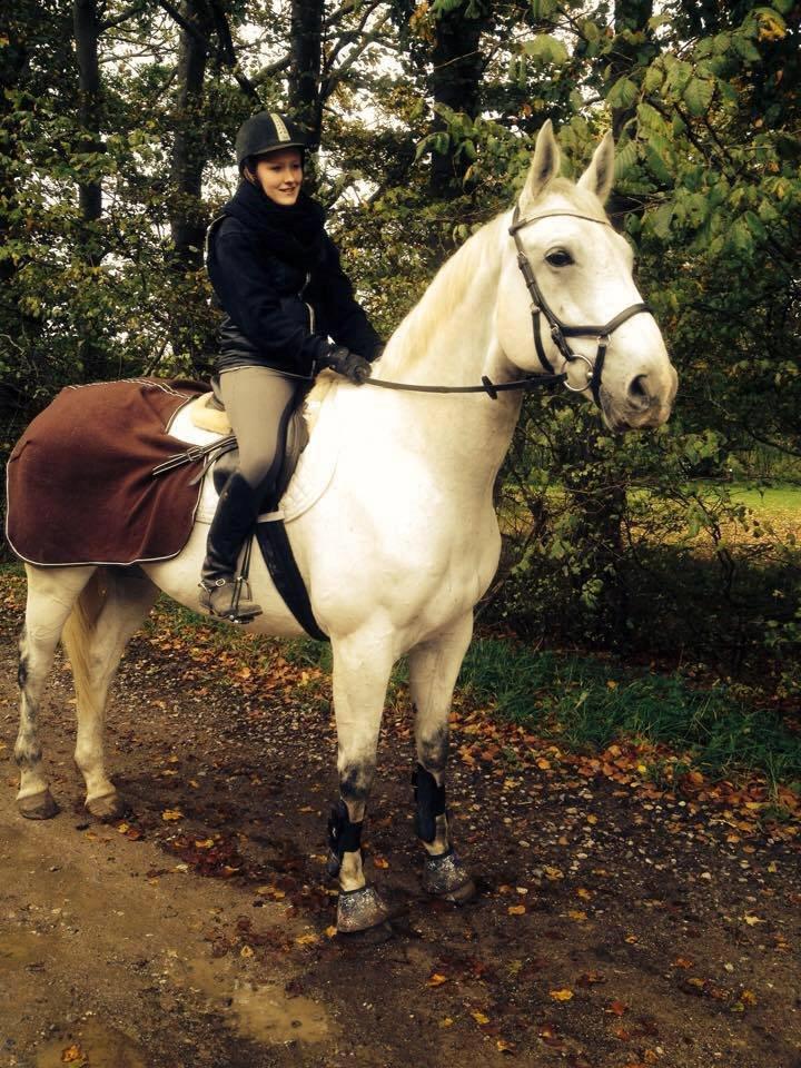 Anden særlig race Troldmoses Umberto - Smukt par XD billede 2