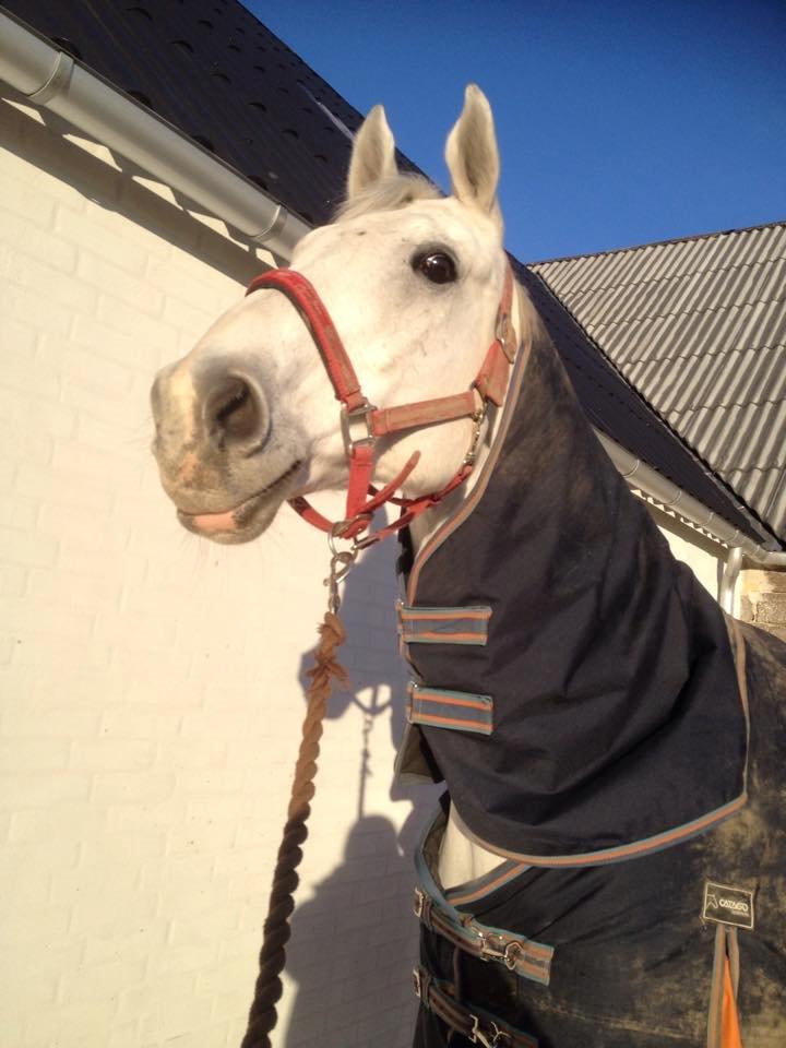 Anden særlig race Troldmoses Umberto - Vi elsker når solen er fremme! <3 billede 5