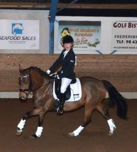 DSP Røgild's Florenzio billede 2