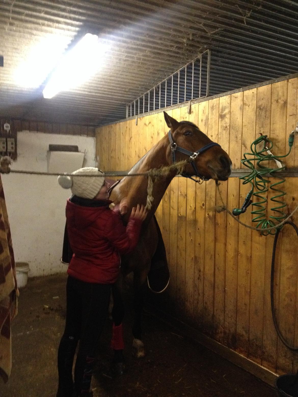 DSP Røgild's Florenzio billede 8