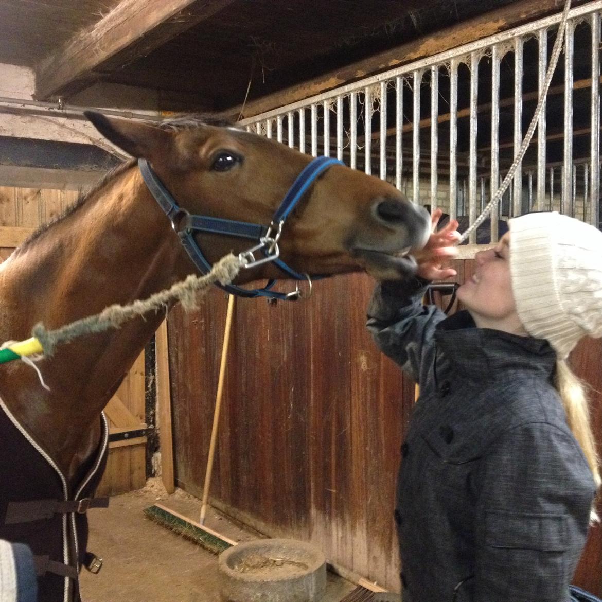 DSP Røgild's Florenzio billede 10