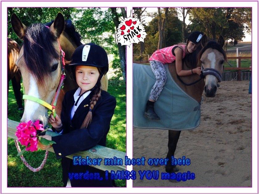 Anden særlig race Damgårds Maggie billede 29