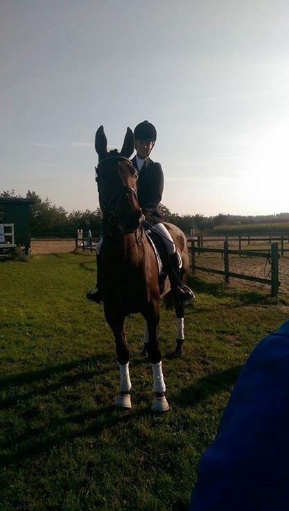 Oldenborg Bakkegaards Evita billede 22