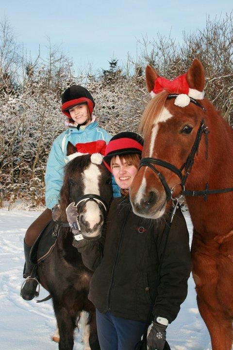 Dartmoor Afroditte - Julebilleder med ponyerne med min storesøster billede 2
