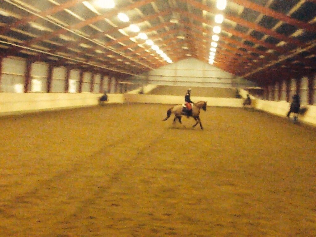 Tysk Sportspony Duchess [Heidi Vinderpony!] Solgt billede 18