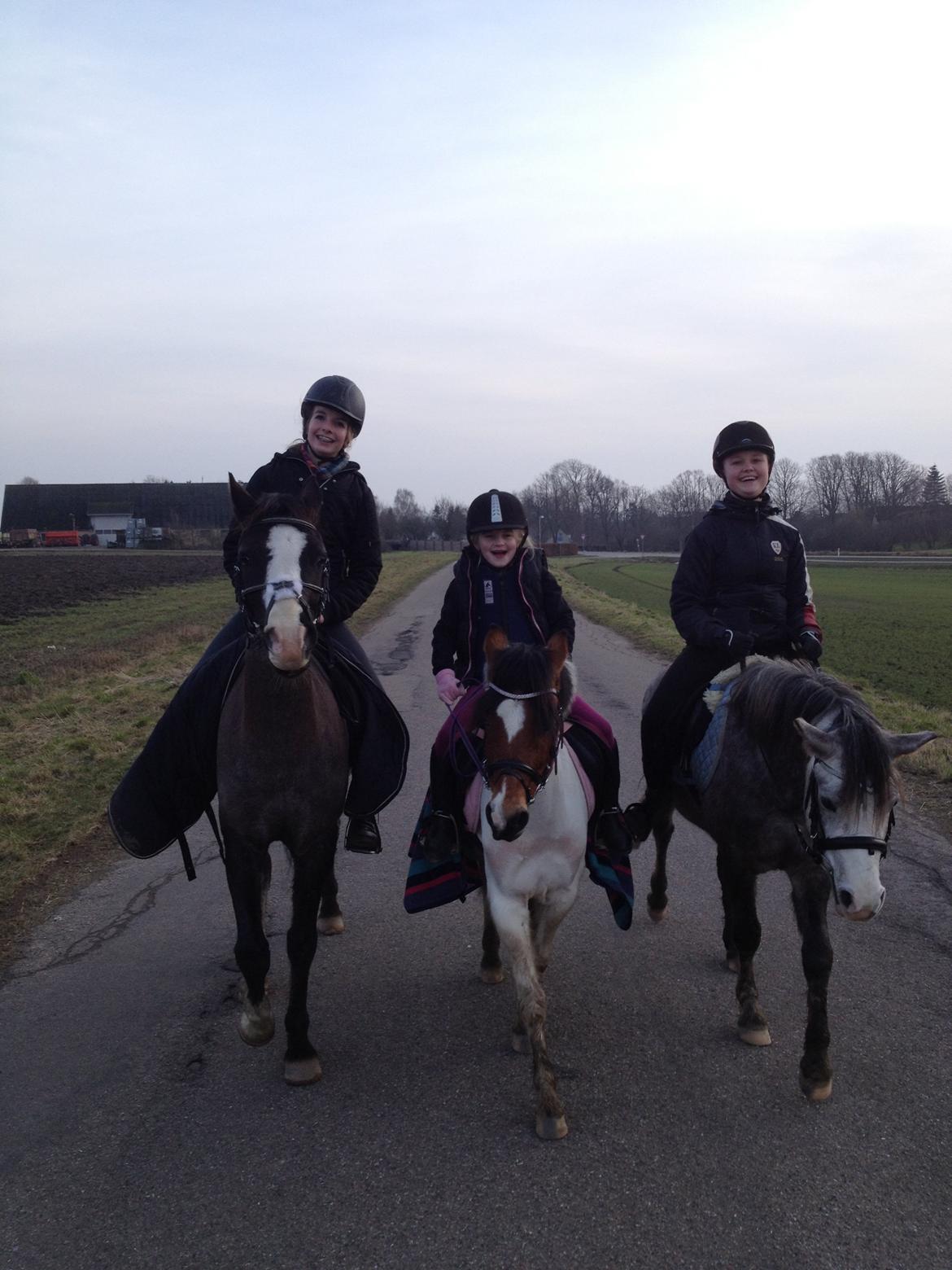 Anden særlig race Wasabi billede 2