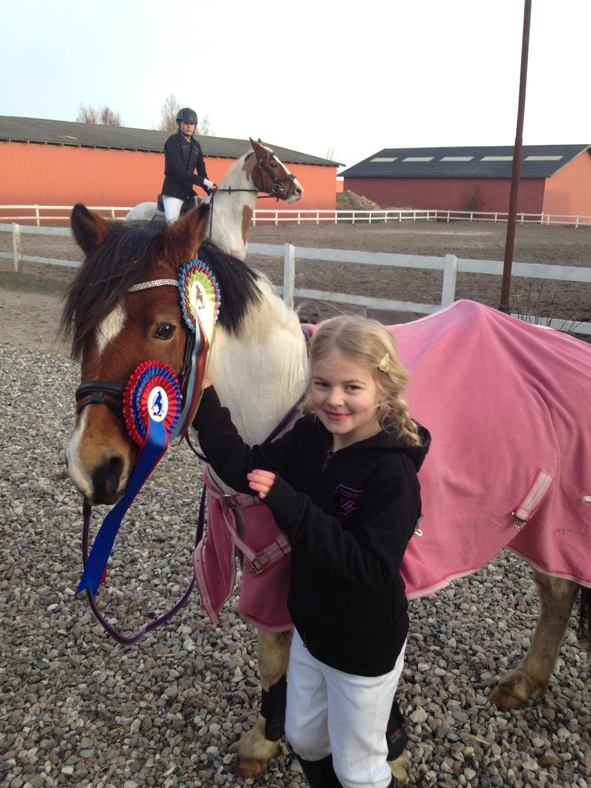 Anden særlig race Wasabi billede 5