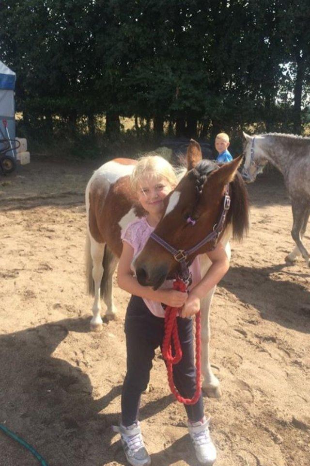 Anden særlig race Wasabi billede 8