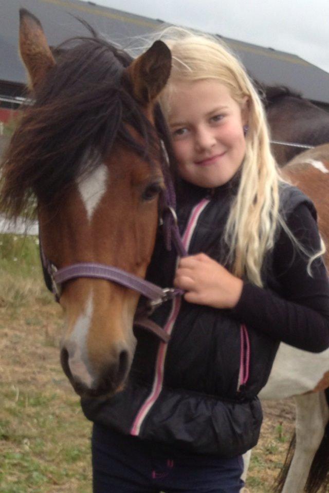 Anden særlig race Wasabi billede 10