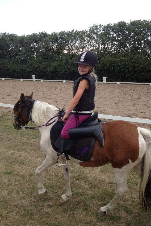 Anden særlig race Wasabi billede 11