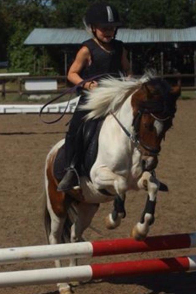 Anden særlig race Wasabi billede 12