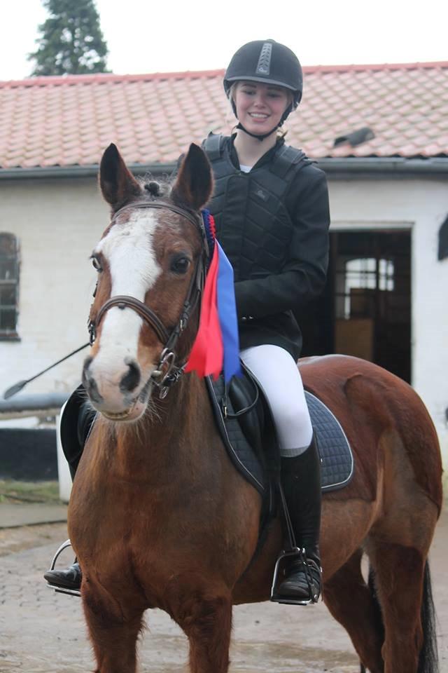 Anden særlig race Fair Play [ELEVPONY] - 18.01.15 - B0 40 cm billede 1