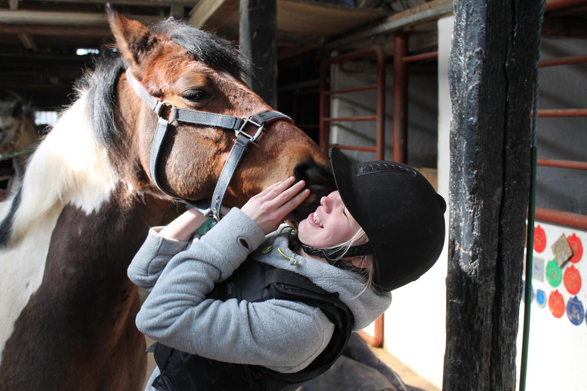 Anden særlig race Flicka [ELEVPONY] billede 21