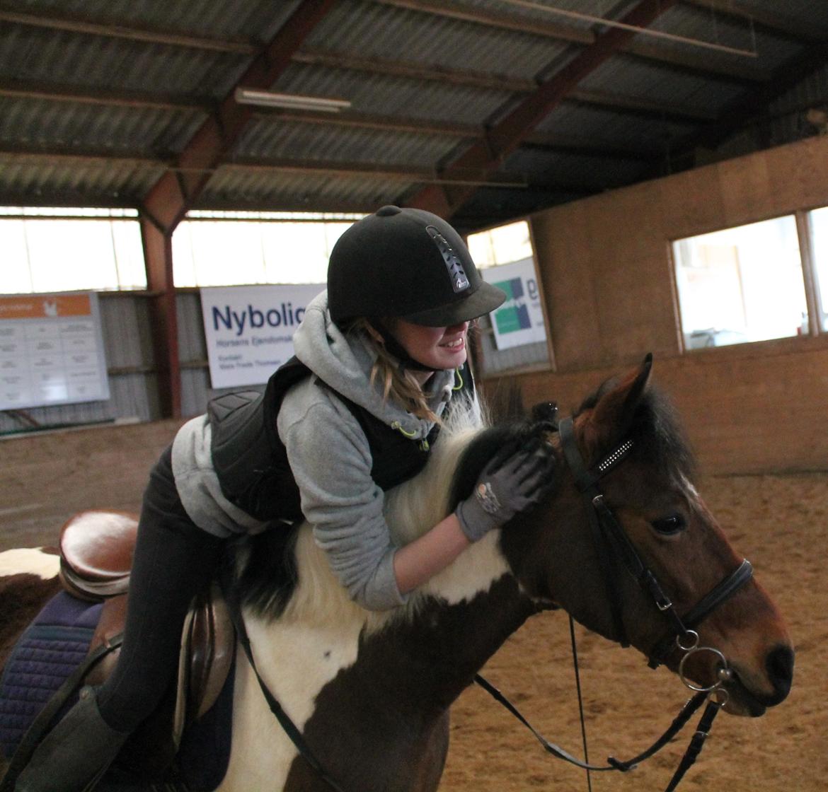 Anden særlig race Flicka [ELEVPONY] billede 22