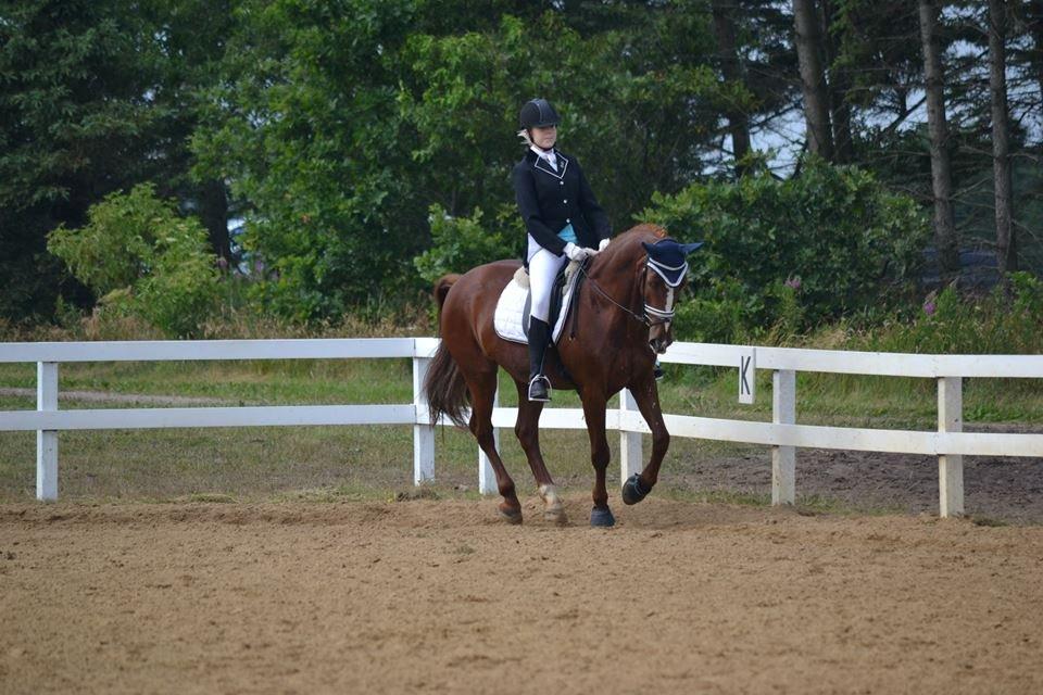 Anden særlig race Sunrise *Sunnie* - Galoooooooop billede 14