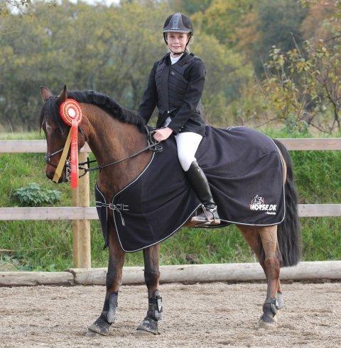 Irsk Sportspony Siempre Amigo - Vinder af indvigelsescup billede 2