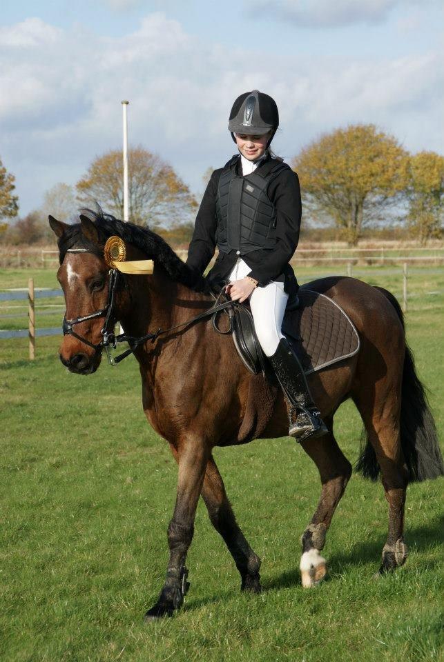 Irsk Sportspony Siempre Amigo - Klubmester 2012 billede 7