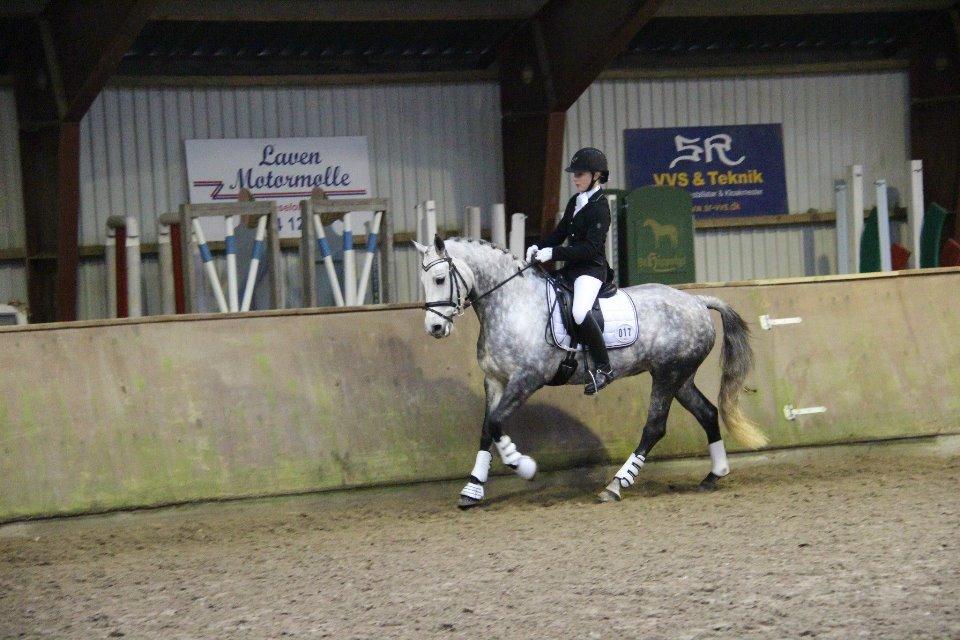 Connemara Mosegårdens Mascha  - Den dejligste galop i verden! elsker dig Mascha :* billede 11