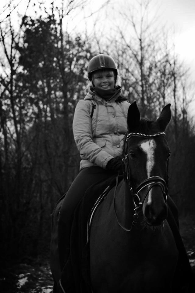 Tysk Oldenburger Lilly Marleen (Lille Lilly) billede 9