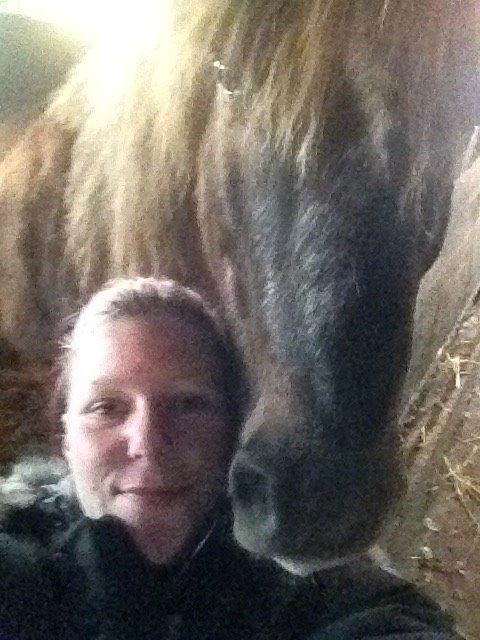 Anden særlig race Silas*. billede 17