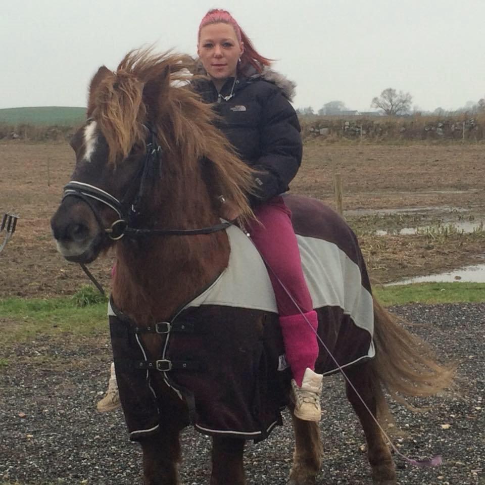 Anden særlig race Silas*. billede 1