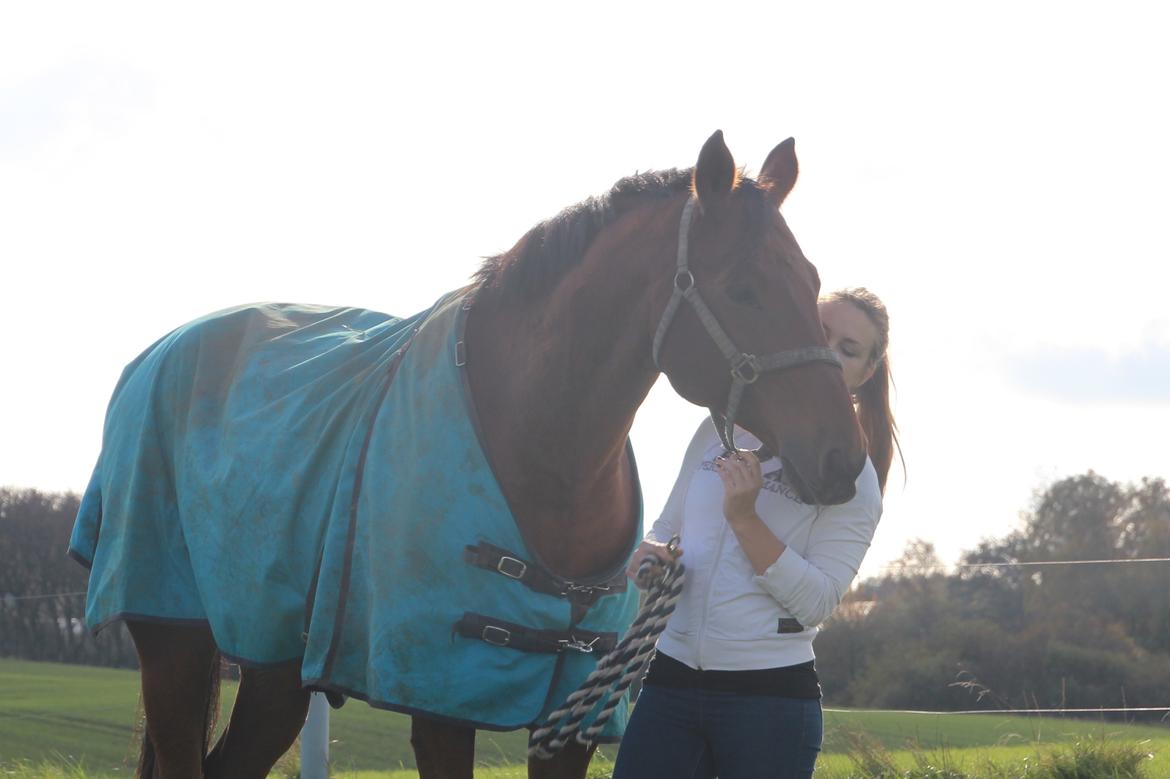 Anden særlig race Imagin Spot Morsbøl(Aflivet) billede 21