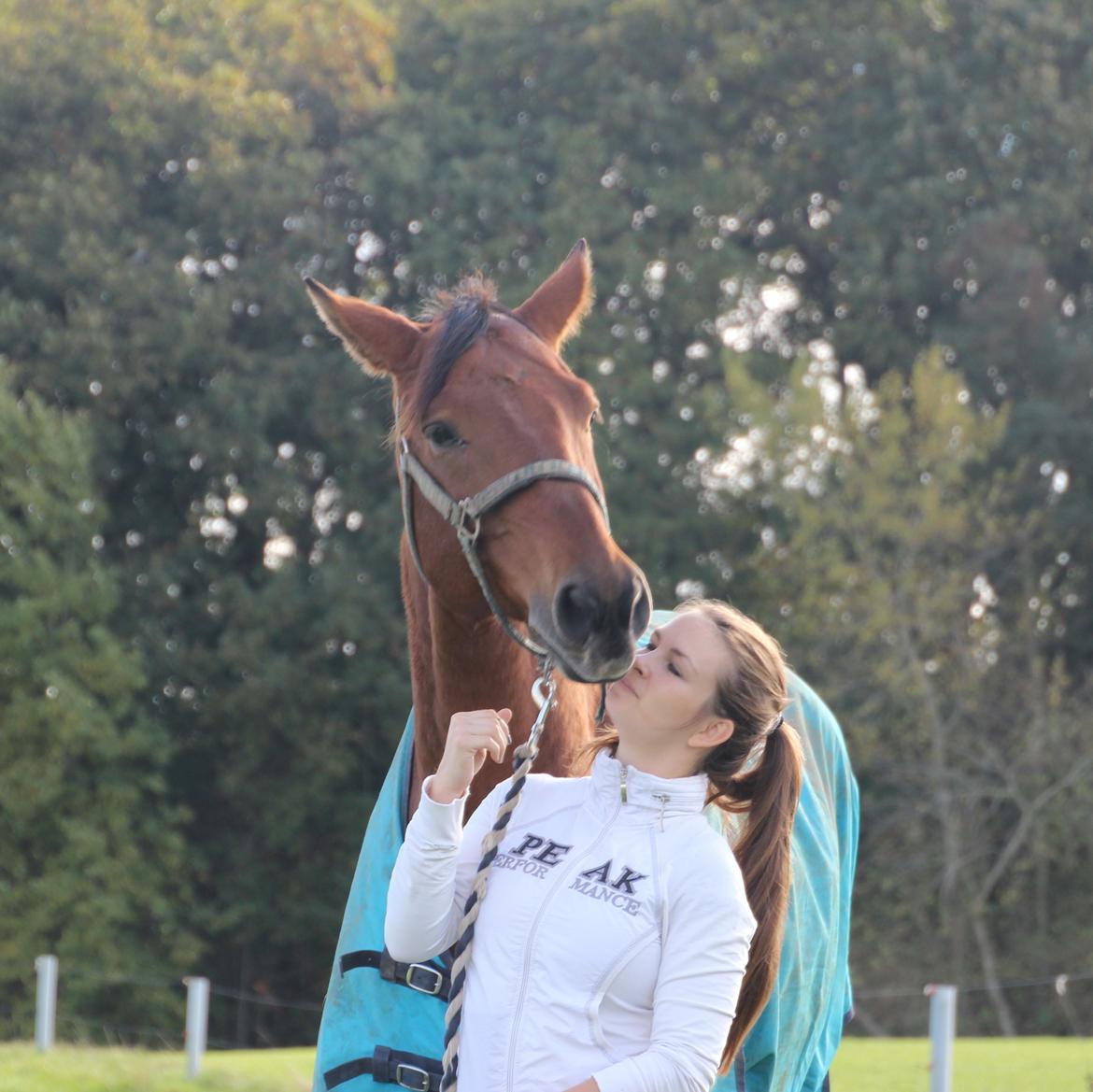 Anden særlig race Imagin Spot Morsbøl(Aflivet) - Det er så svært at sige farvel billede 22