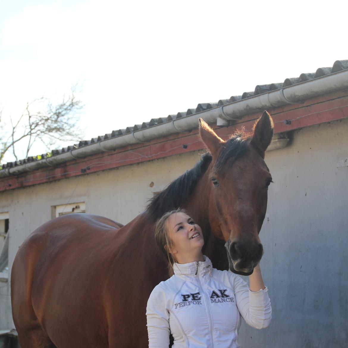 Anden særlig race Imagin Spot Morsbøl(Aflivet) billede 28