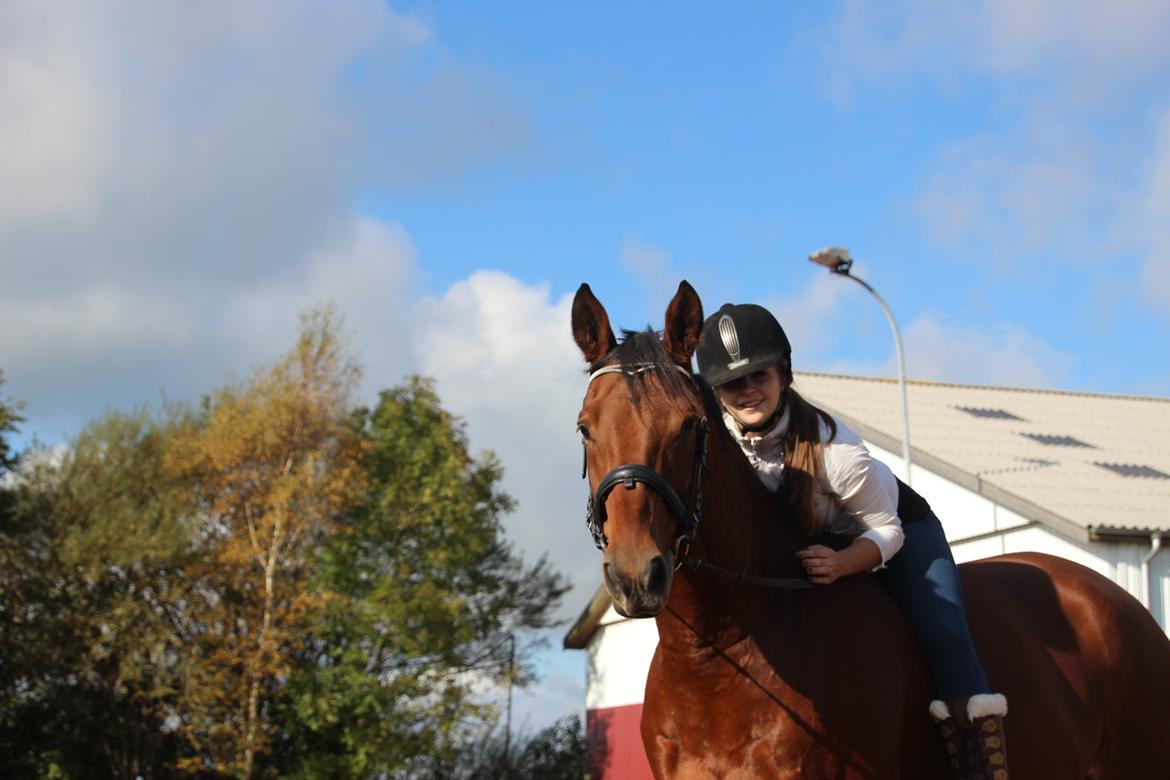 Anden særlig race Imagin Spot Morsbøl(Aflivet) billede 37