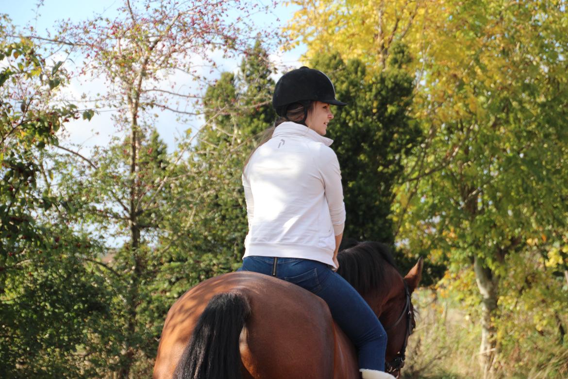 Anden særlig race Imagin Spot Morsbøl(Aflivet) billede 43