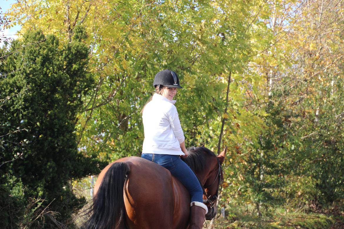 Anden særlig race Imagin Spot Morsbøl(Aflivet) billede 44