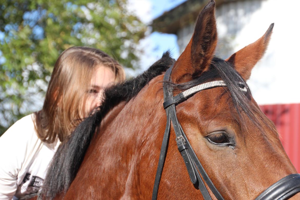 Anden særlig race Imagin Spot Morsbøl(Aflivet) billede 45