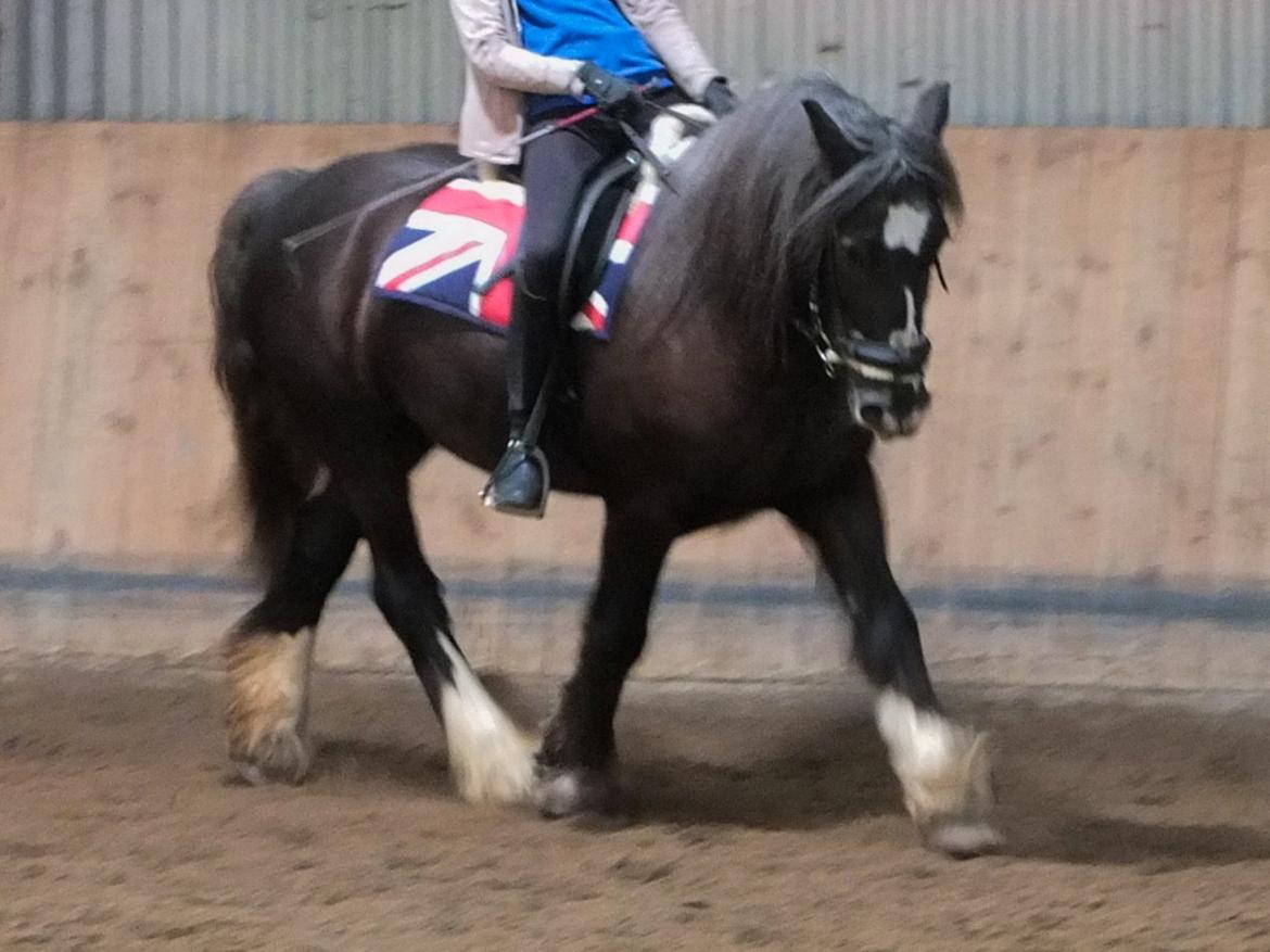 Tinker Major Mentz billede 11