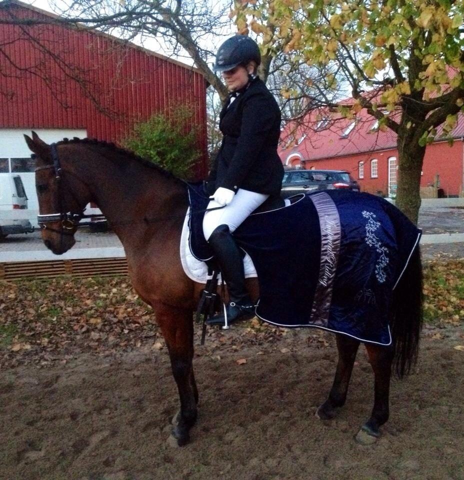 Anden særlig race Cosmo billede 16