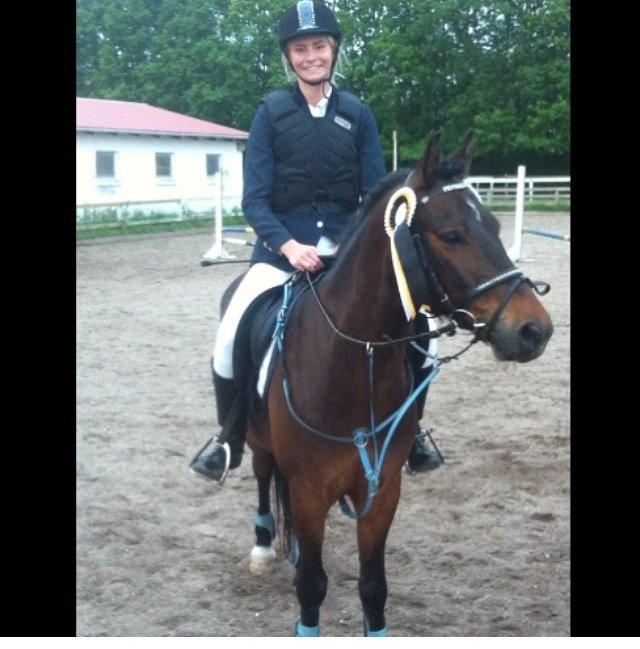 New Forest Ida´s Moonlight *Monty* billede 20