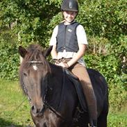 Islænder Fáni fra Gamla-Hrauni