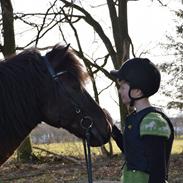 Islænder Fáni fra Gamla-Hrauni