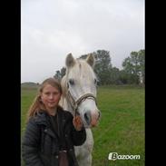 Anden særlig race Apollon "Polle" Best friends forever<3