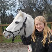 Anden særlig race Apollon "Polle" Best friends forever<3