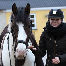 Pinto DAUGAARDS ABSINT