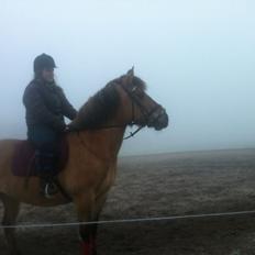 Anden særlig race Arisma [Spirit]