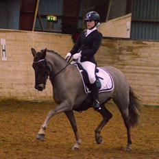 New Forest Elmholts Rekord