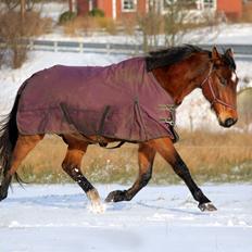Anden særlig race Kaliffen (Givet Væk) *For Evigt Elsket <3*