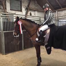 DSP Haahr`s Dumbledore