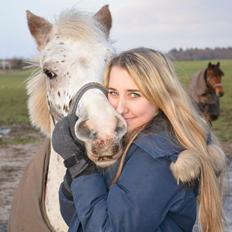 Anden særlig race Hot'n tot A-PONY