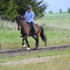 Islænder Tryllingur fra Tågehuse